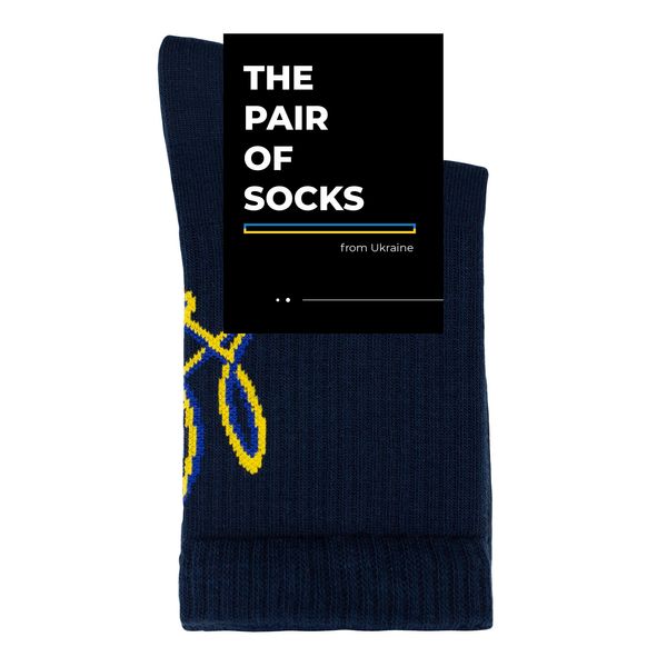 Шкарпетки The Pair of Socks From Ukraine N 4820234218356 фото