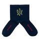 Шкарпетки The Pair of Socks From Ukraine N 4820234218356 фото 7
