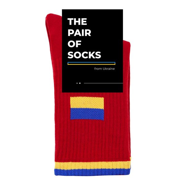 Шкарпетки The Pair of Socks Flag R 4820234220144 фото