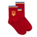 Шкарпетки The Pair of Socks Flag R 4820234220144 фото 1