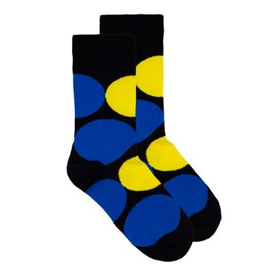 Шкарпетки The Pair of Socks UA Dot 4820234204571 фото