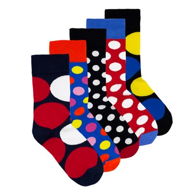 Набір шкарпеток The Pair of Socks DOT Box 5 пар 4820234208111 фото