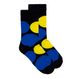 Шкарпетки The Pair of Socks UA Dot 4820234204571 фото 1