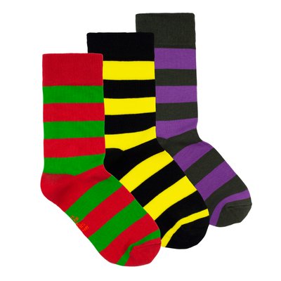 Набір шкарпеток The Pair of Socks Wide Stripe Box 3 пари 4820234210862 фото