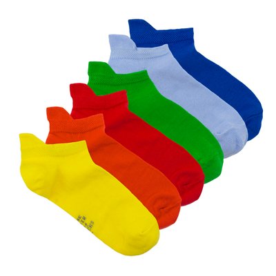 Набір коротких дитячих шкарпеток The Pair of Socks Rainbow Box 6 пар 4820234219308 фото