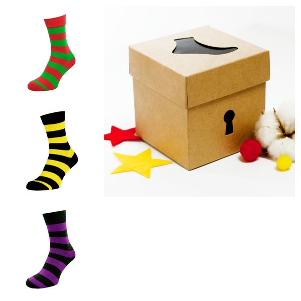 Набір шкарпеток The Pair of Socks Wide Stripe Box 3 пари 4820234210862 фото
