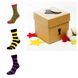 Набір шкарпеток The Pair of Socks Wide Stripe Box 3 пари 4820234210862 фото 5