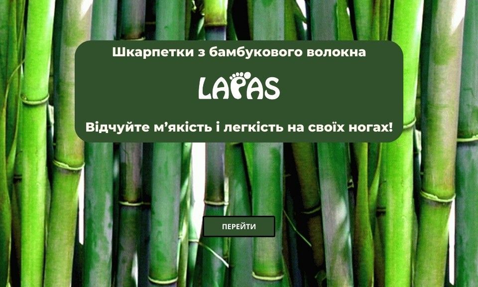 Бамбук
