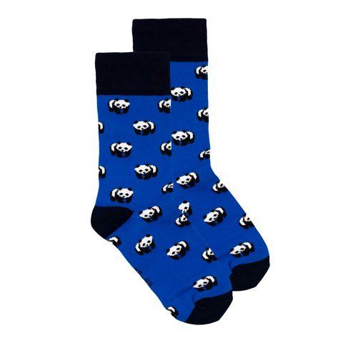 Шкарпетки The Pair of Socks Panda Blue 4820234204083 фото