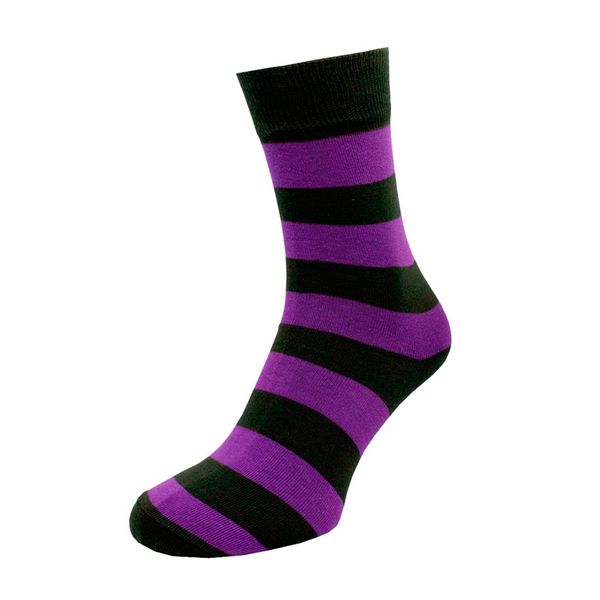 Шкарпетки The Pair of Socks Purple Stripe 4820234200528 фото