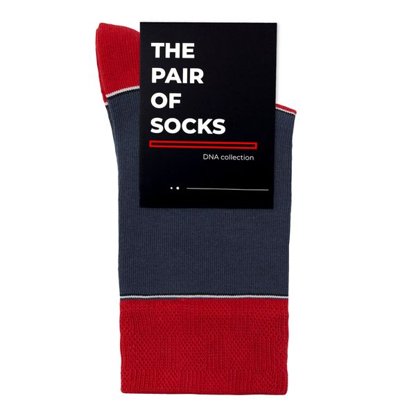 Шкарпетки The Pair of Socks GT 4820234217601 фото