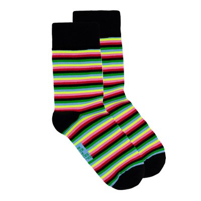 Шкарпетки The Pair of Socks Rainbow 4820234209132 фото