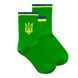 Шкарпетки The Pair of Socks Flag G 4820234220199 фото 1