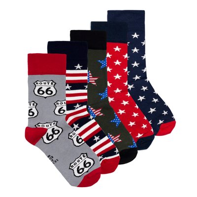 Набір шкарпеток The Pair of Socks USA Box 5 пар 4820234208104 фото