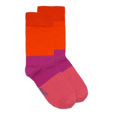 Шкарпетки The Pair of Socks Triton 4820234207053 фото