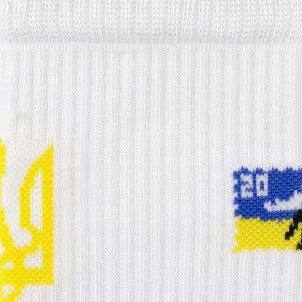 Шкарпетки The Pair of Socks DONE White 4820234220038 фото