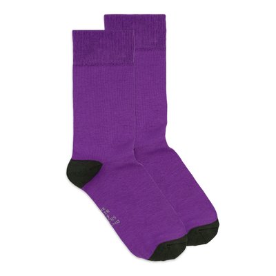 Шкарпетки The Pair of Socks Violet 4820234201204 фото