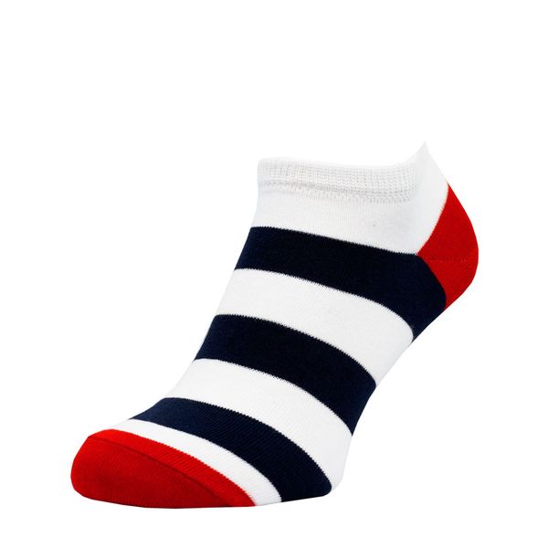 Короткі шкарпетки The Pair of Socks Wide MINI 4820234210770 фото