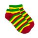 Короткі шкарпетки The Pair of Socks Marley MINI 4820234201495 фото 1