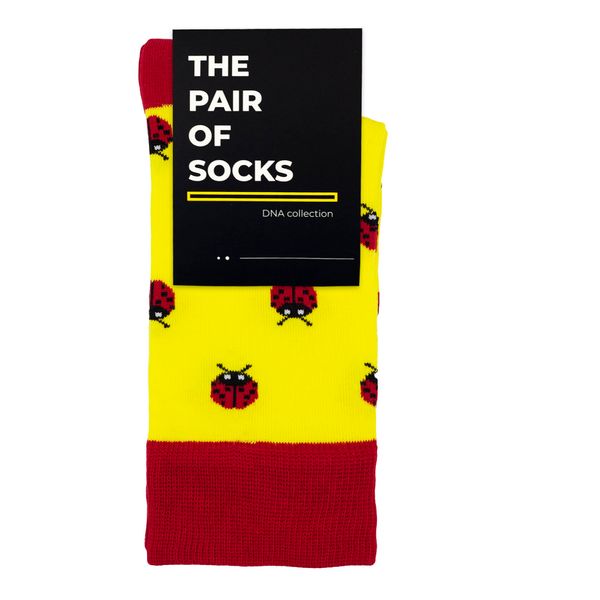 Шкарпетки The Pair of Socks Sun 4820234207831 фото
