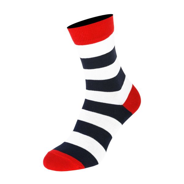 Шкарпетки The Pair of Socks Wide Stripe 4820234210176 фото