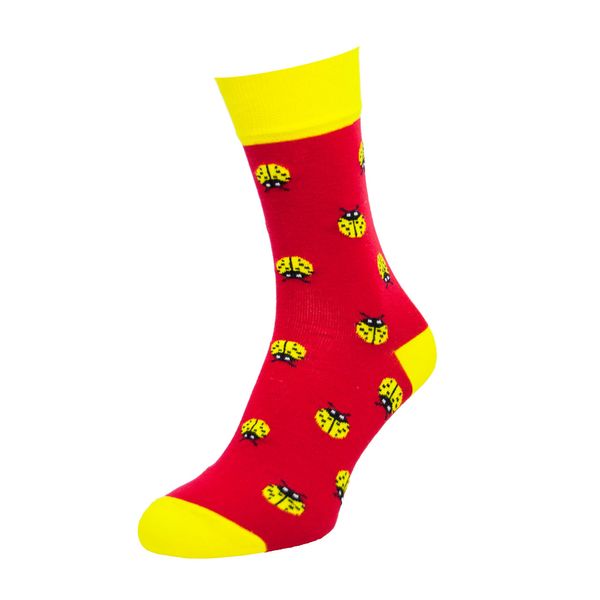 Шкарпетки The Pair of Socks Sun Red 4820234207909 фото