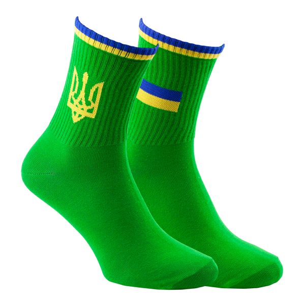 Шкарпетки The Pair of Socks Flag G 4820234220182 фото