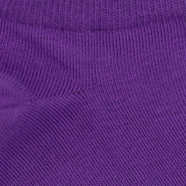 Короткі шкарпетки Lapas Фіолетові MINI 4820234219384 фото