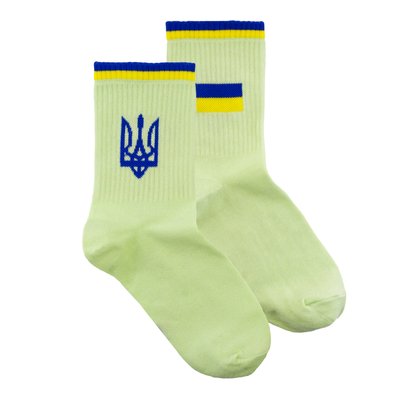 Шкарпетки The Pair of Socks Flag M 4820234220106 фото