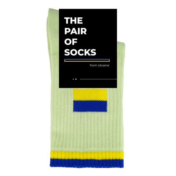 Шкарпетки The Pair of Socks Flag M 4820234220106 фото