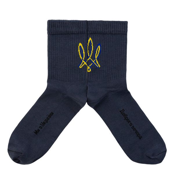 Набір шкарпеток The Pair of Socks UA Box 4 пари 4820234219346 фото