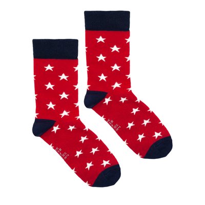 Шкарпетки дитячі The Pair of Socks Hot Star Kids 4820234218448 фото